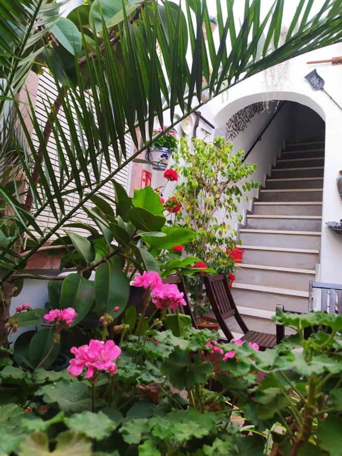Apartament Casa Museo Jerez Centro Jerez de la Frontera Zewnętrze zdjęcie
