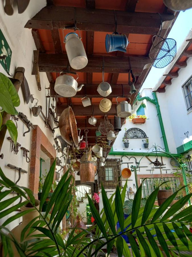 Apartament Casa Museo Jerez Centro Jerez de la Frontera Zewnętrze zdjęcie