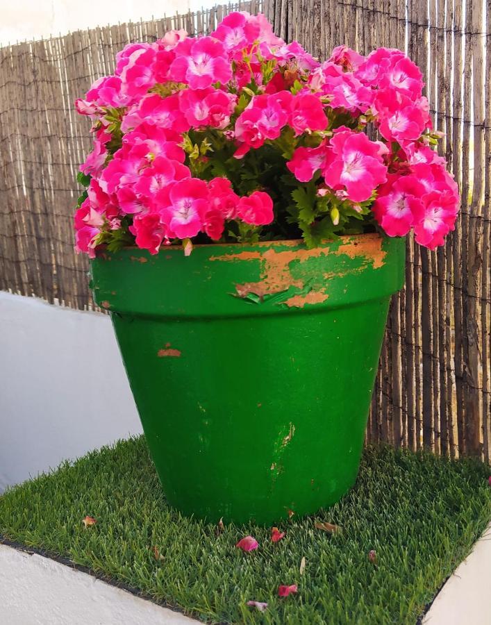 Apartament Casa Museo Jerez Centro Jerez de la Frontera Zewnętrze zdjęcie