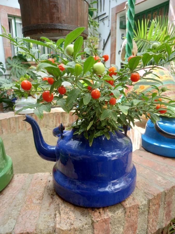 Apartament Casa Museo Jerez Centro Jerez de la Frontera Zewnętrze zdjęcie