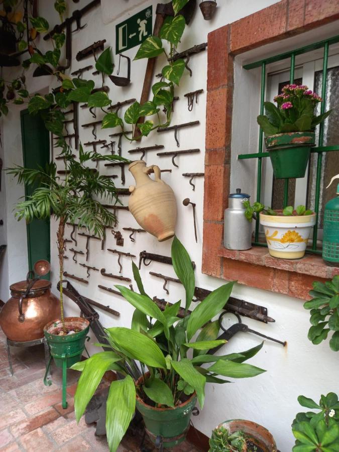 Apartament Casa Museo Jerez Centro Jerez de la Frontera Zewnętrze zdjęcie