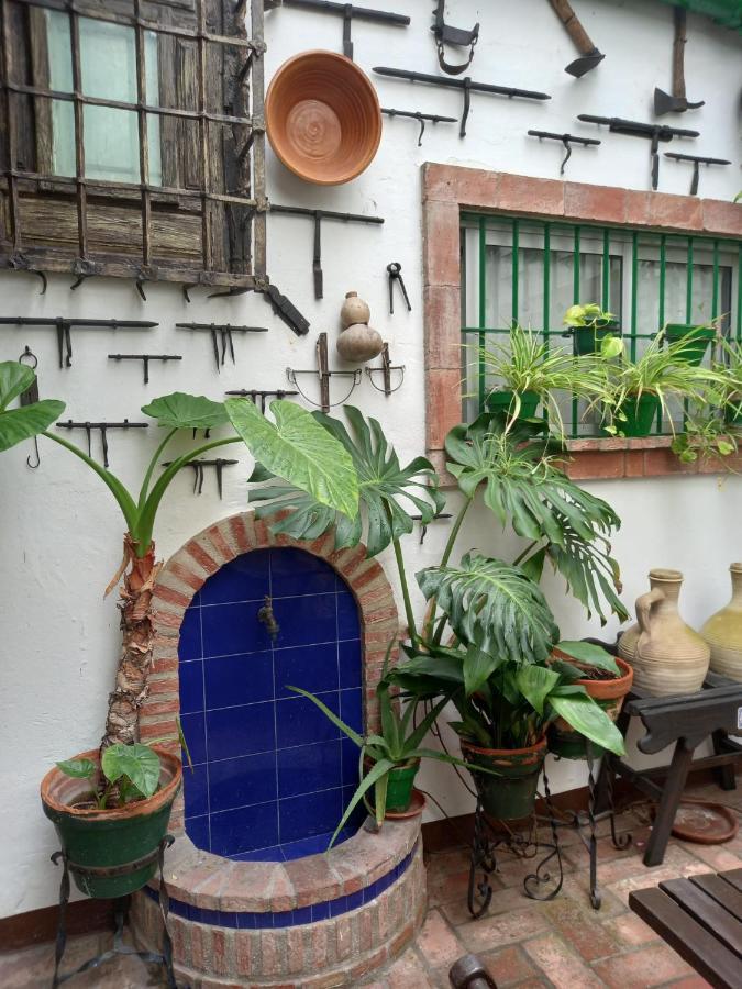 Apartament Casa Museo Jerez Centro Jerez de la Frontera Zewnętrze zdjęcie