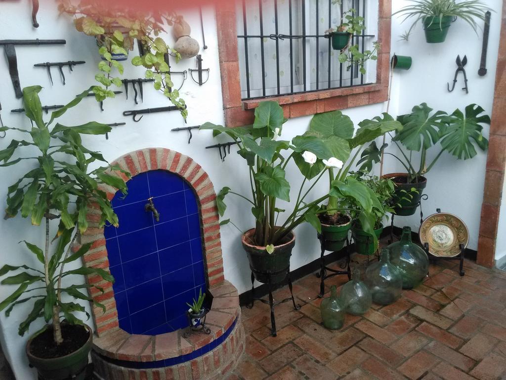 Apartament Casa Museo Jerez Centro Jerez de la Frontera Zewnętrze zdjęcie